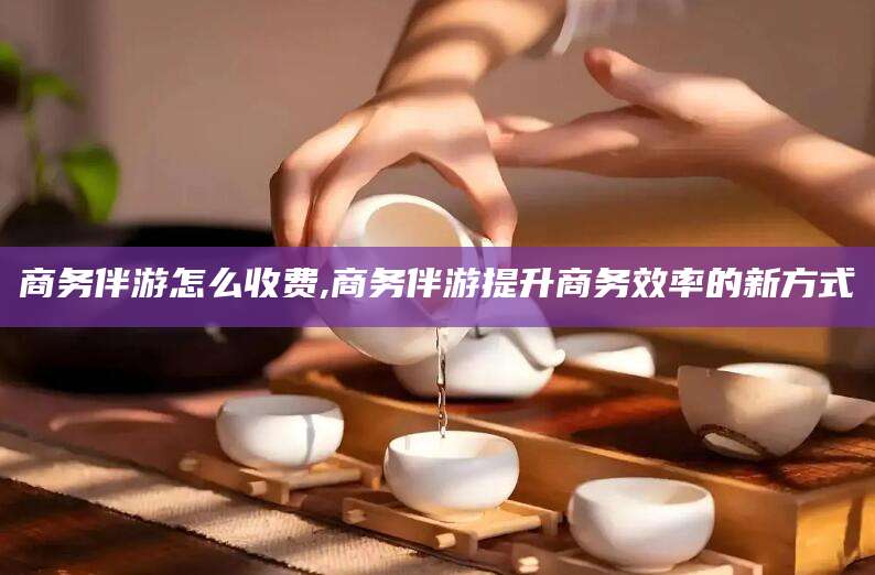 天水商务伴游怎么收费,商务伴游提升商务效率的新方式